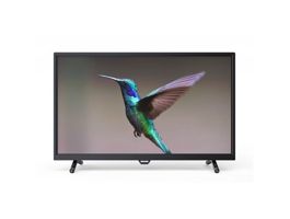 Orion HD LED TV (32OR17RDL)