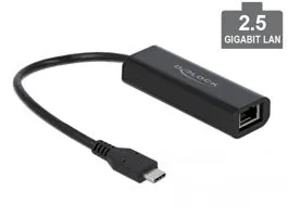 Delock USB Type-C adapter apa   2,5 Gigabit LAN (66298)