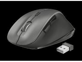 Trust Ravan Wireless mouse Black (22878)