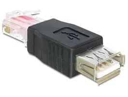 Delock Adapter USB-A female  RJ45 male, fekete (65234)