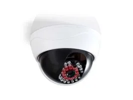 NEDIS Biztonsági Kamera Utánzat Kúp Elemes Áramellátás Beltéri Fehér (DUMCD20WT)