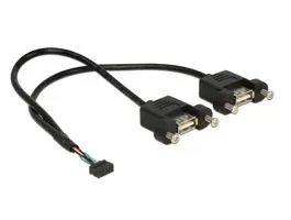 DeLock Cable USB 2.0 pin header female 2.00 mm 10 pin  2x USB 2.0 Type-A female panel-mount 25cm
