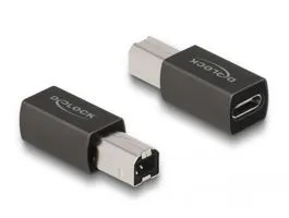 Delock USB 2.0 adapter USB Type-C  anya   B-típusú apa (65839)